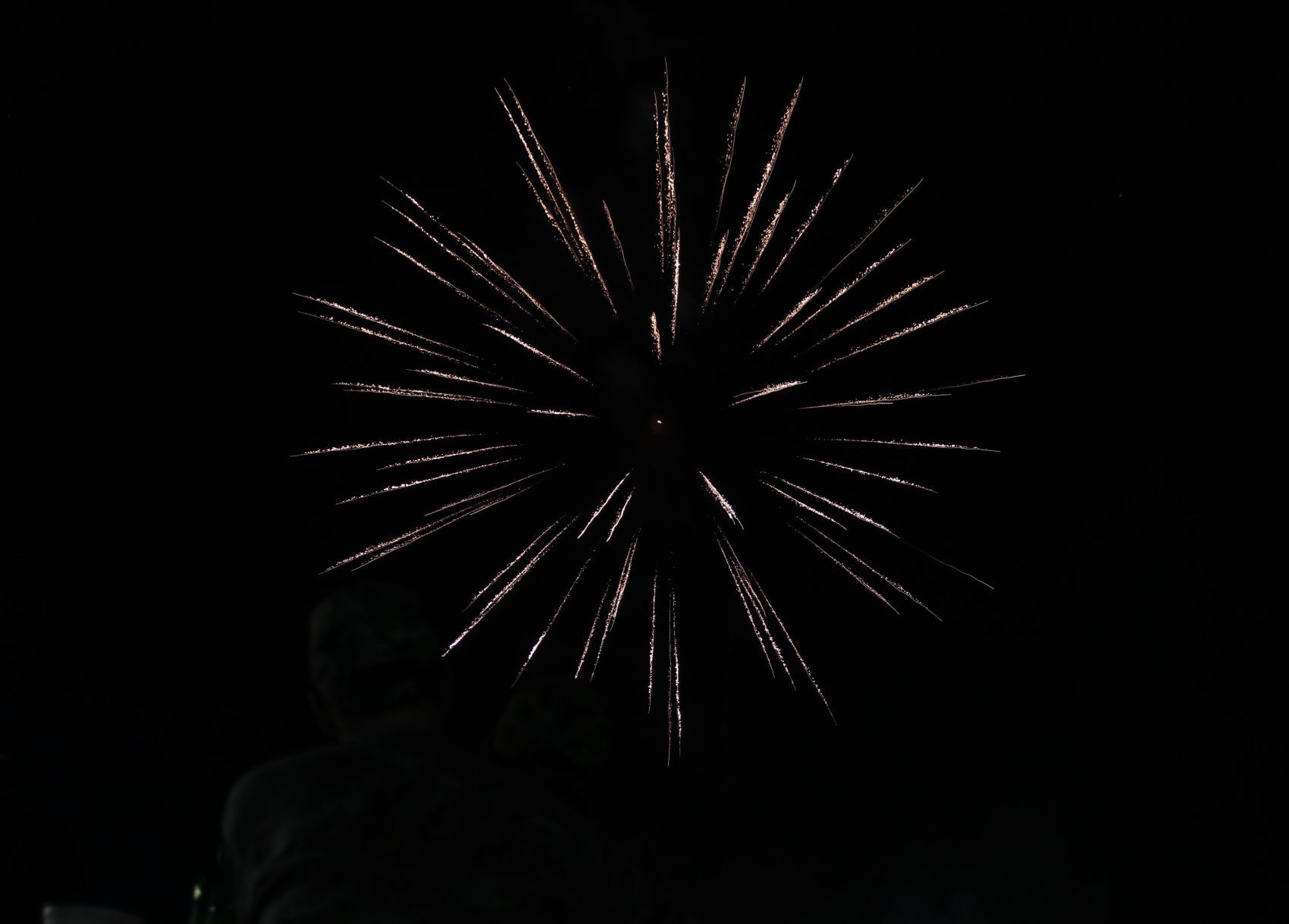 Watching the fireworks